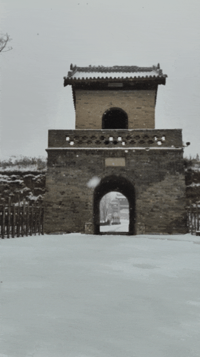 5.gif
