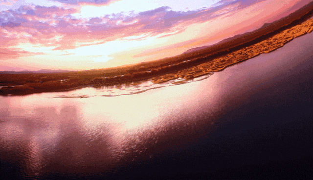 64.gif