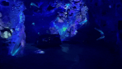 5.gif