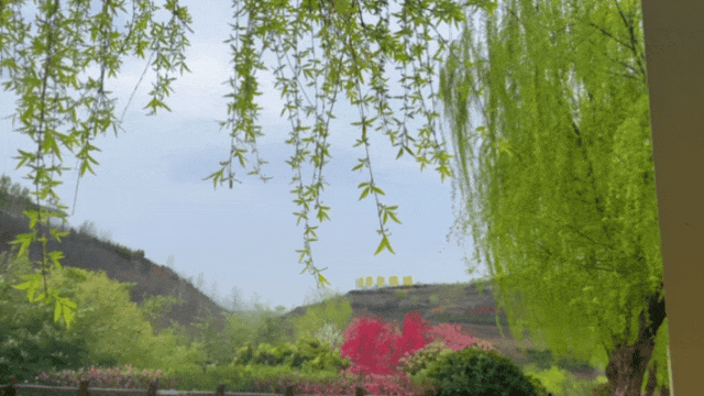 14.gif
