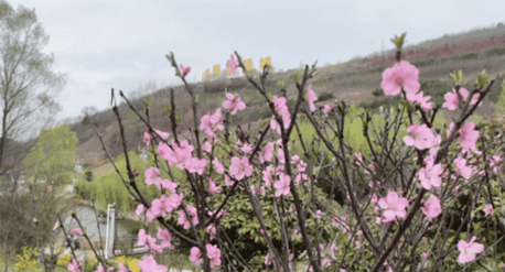 山水好时光，醉在春光里，白鹿原影视城踏青之旅等你来开启