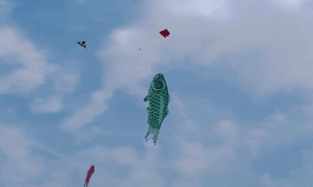 21.gif