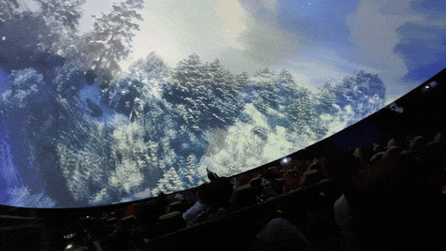 25.jpg