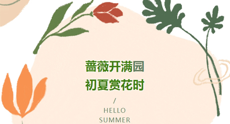 初夏至 蔷薇开 | 在白鹿原影视城邂逅浪漫花海